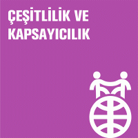 Çeşitlilik ve Kapsayıcılık